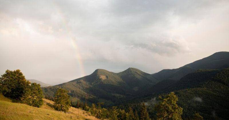 Freepik/rawpixel.com